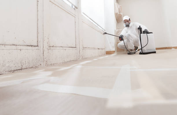 24/7 Emergency Mold Remediation experts in Franktown, VA